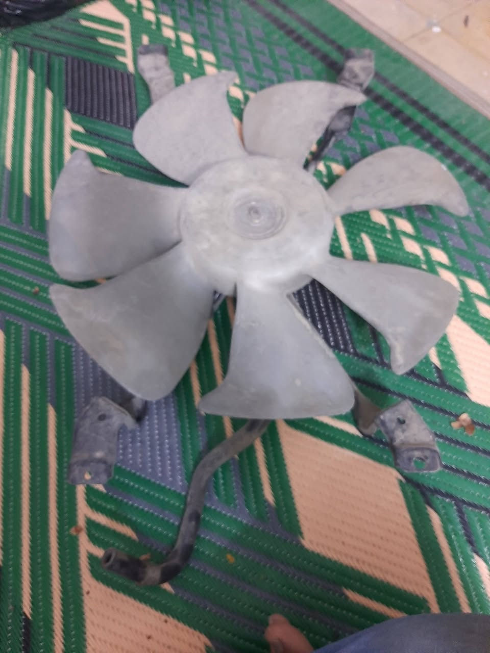 أدوات تيوته راس الثور تيوته داينه مكان بغداد المشتل ***********
