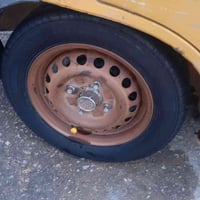 ويل • زنجاري • أسود