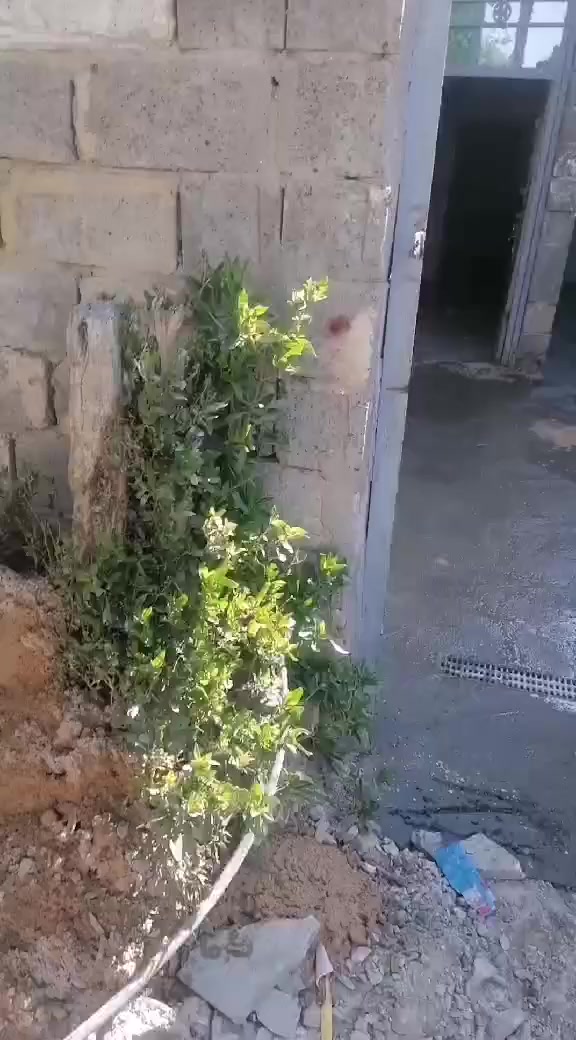 السلام عليكم بيت تجاوز الايجار السعر 200 المكان تقاطع درويش شارع كنانه أو البيع نقد وقصد ***********
