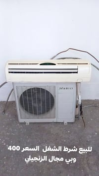 سبلت فاملي • طنين ونصف • الزنجيلي