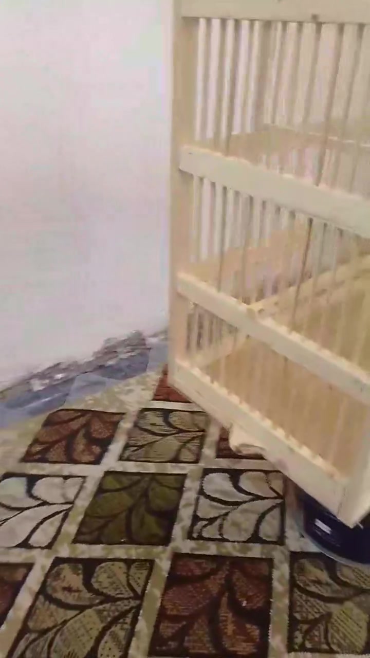 الموقع: الرفاعي حي الحسن نزلة الطاقة
الرقم:***********
