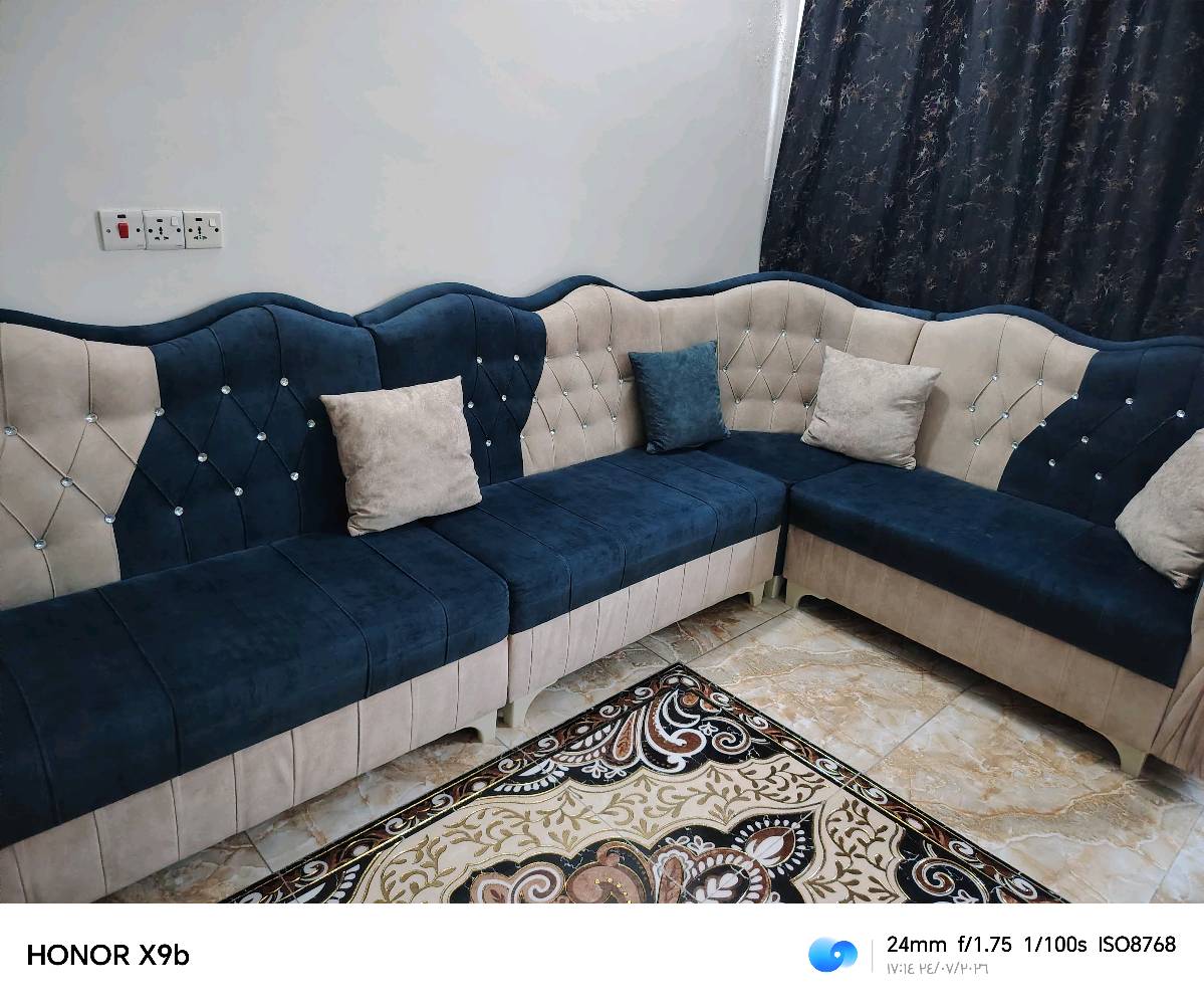 تخم ديوان للبيع سعره 350 

مكانه بغداد