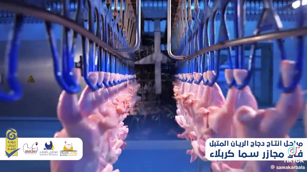 مراحل إنتاج البوادي للي مشككين بالدجاج نرجع وتقول ذبح خالص فقط الفرق يمر بعمليه تجميد تحت الصفر ونرجع ونكول دجاج الأول بدون منازع من ناحيه الطعم ومن كلشي


**إذا كنت صاحب هذا الإعلان وتريد حذفه لأي سبب، رجاءا أرسل رسالة إلى الدعم الفني**