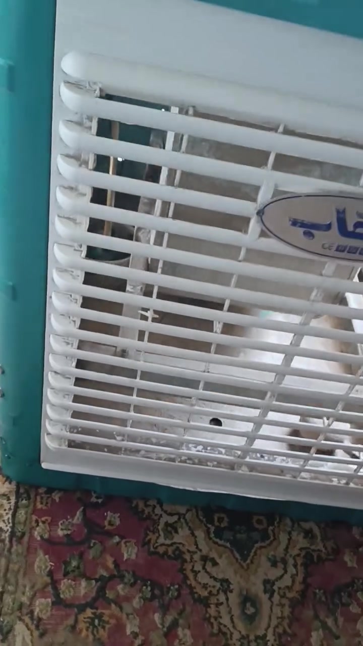 مبرده برفاب حجم كبير نضيفه استخدام قليل السعر 100 المكان كوفه


**إذا كنت صاحب هذا الإعلان وتريد حذفه لأي سبب، رجاءا أرسل رسالة إلى الدعم الفني**