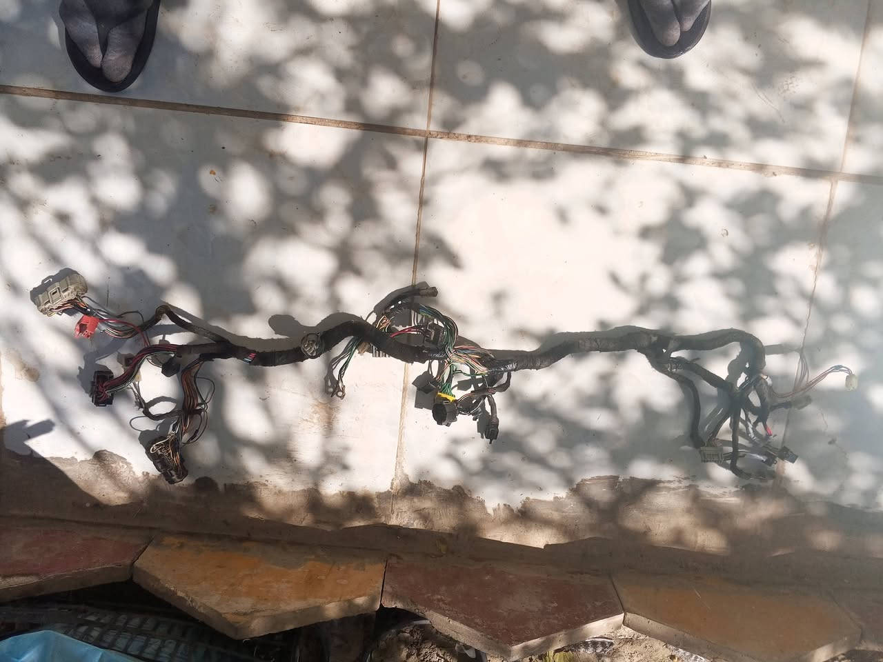 عقل وضفيره ثنينهن سكيورتي وعل فحص رايدهن ب 600 الف شباب كل توصيل ماعندي تعال افحص كدامك وخذ ***********
