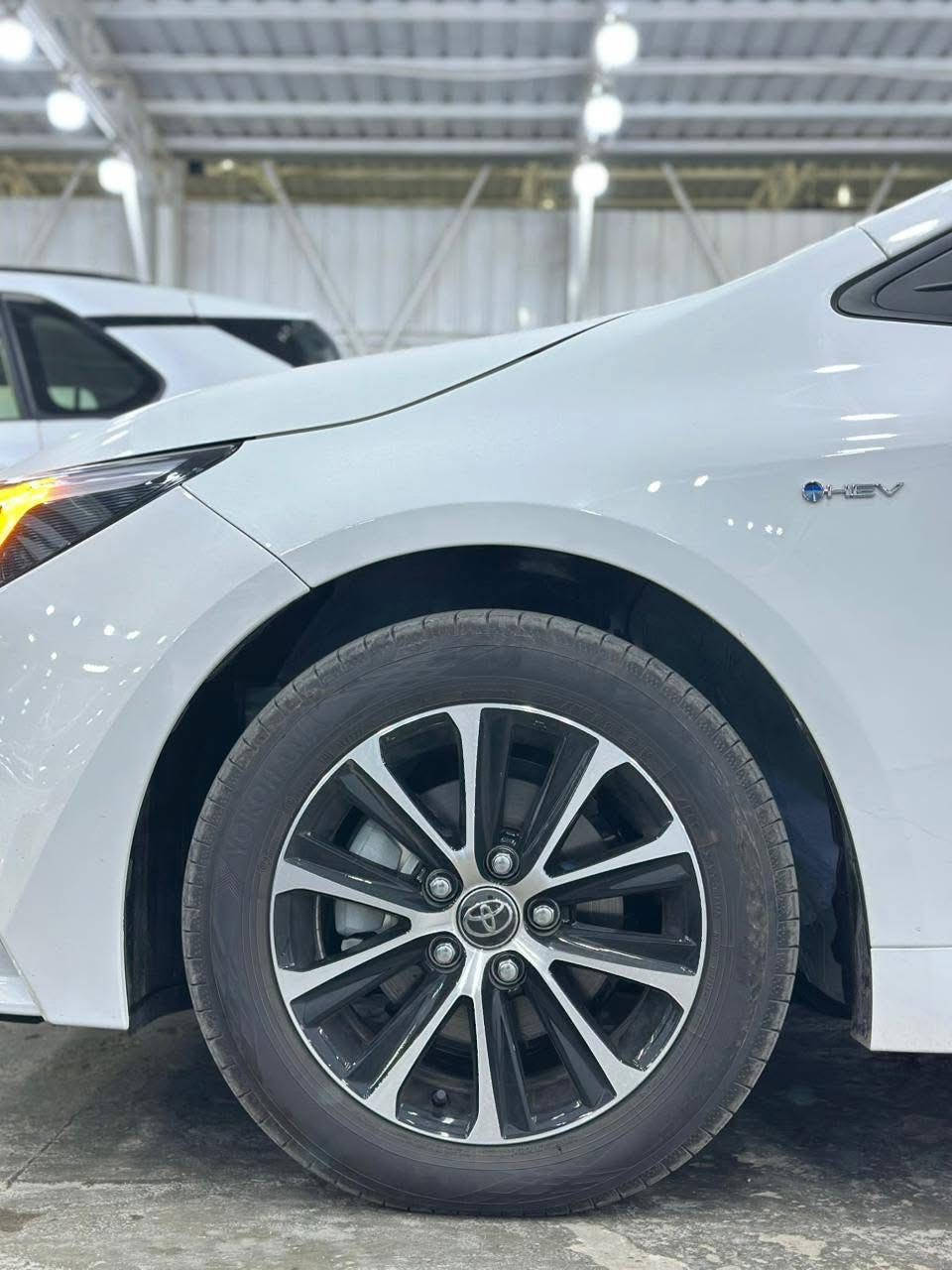 تيوتا كورلا هايبرد موديل 2024
كفاله من كلشي عدا شخوط بسيطه بلدعاميه 
فول مواصفات 1/1
كشن جلد لونين
السياره نضيفه كلش ومال بيت واني مطلعها من المعرض 
باسمي ورقم بغداد ومداور ثاني يوم
السعر 155وبيها مجال انشاء الله 

مكاني بابل شارع 40
***********
