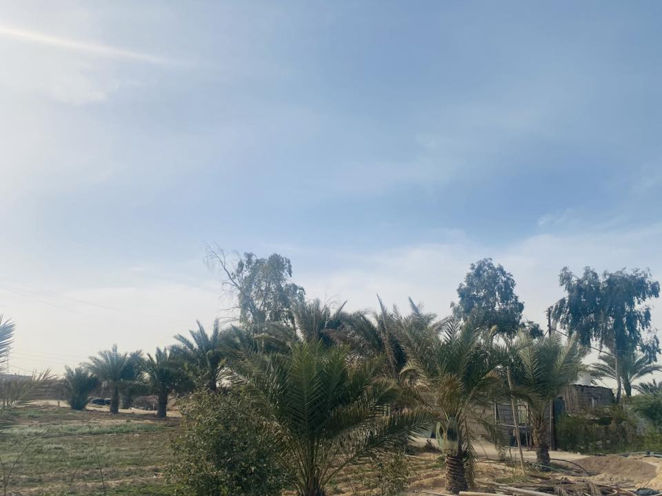 السلام عليكم مزرعه للبيع طريق ياعلي عمود 185 تبعد عن شارع 1500 م شارع تبليط  6 دونم مع البيت والبحيرات متوفره بيها بير ماء ومنظومة مرشات حديثة 
تنباع مزرعه مع البيت مخدومه من كلشي 
ومكان مرتب 
اخوان سعر الدونم 15 من عده دونم الي موجوده بي البيت سعره 20 
للتواصل ***********
