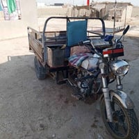 ستوته • جمره • بدون أوراق