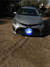 كورلا • ٢٠١٩ • ضرر خفيف