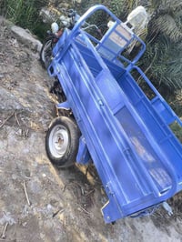 ستوته فحل  لبيع  موديل 23 وكيل ابو نوار اوراق اصولي  مال جناي ماعايزه ...