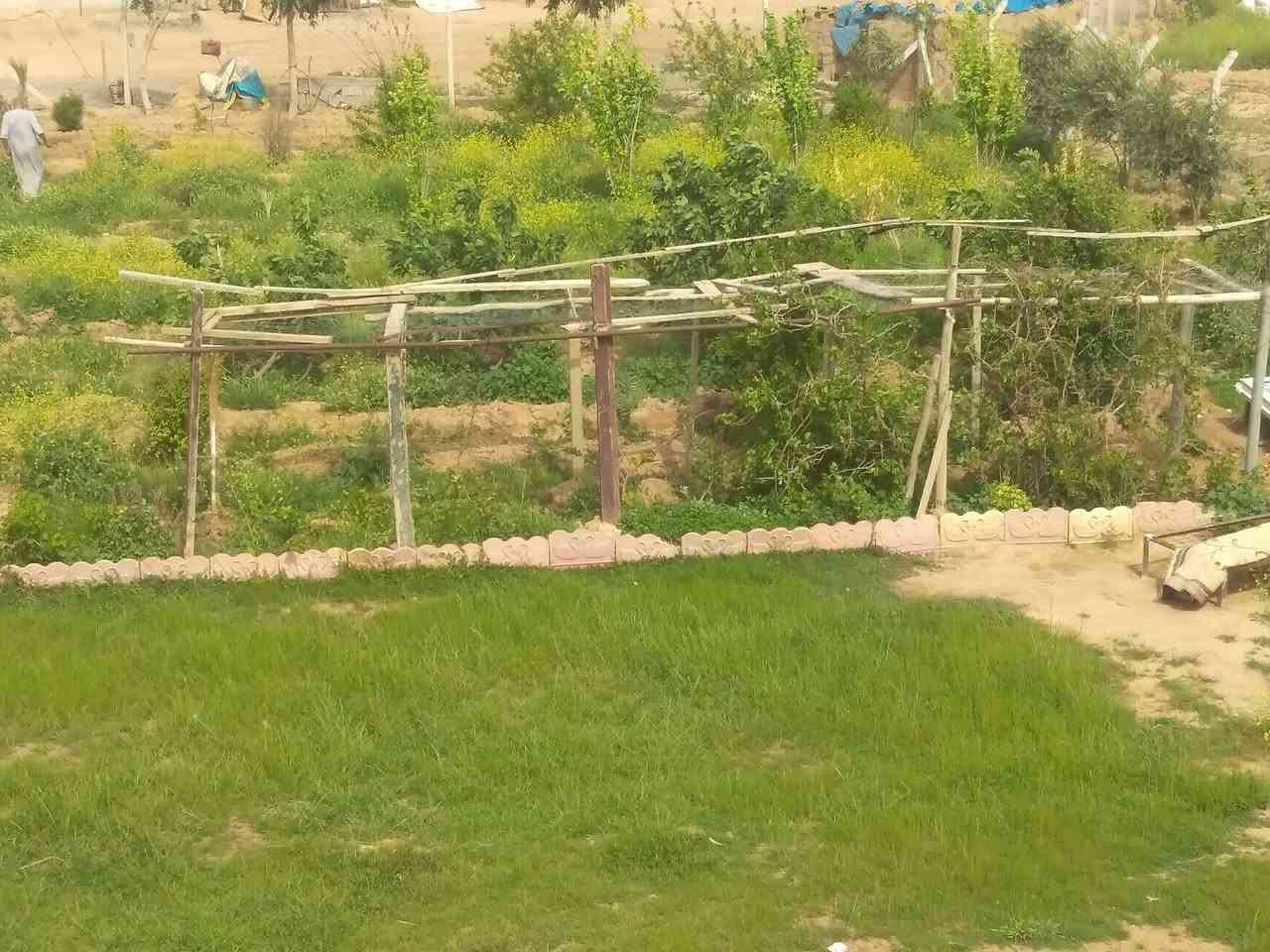 سالم عليكم مزرعه زراعي للبيع مساحه الارض دونم موجود ابداخله بيت مساحه 200 متر أو بيه بير ماه اوبيه كهرباء 
أو بستان كامل مكان المزرعه كركوك كوباني ابصف الجسر كوباني الجديد الحولي
***********
***********. سعر مناسب /ملاحظة مامتواجد على الفيس اتصل أو تدلل
