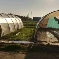 بيت بلاستيكي • ٦×٤م • چوارقوڕنە