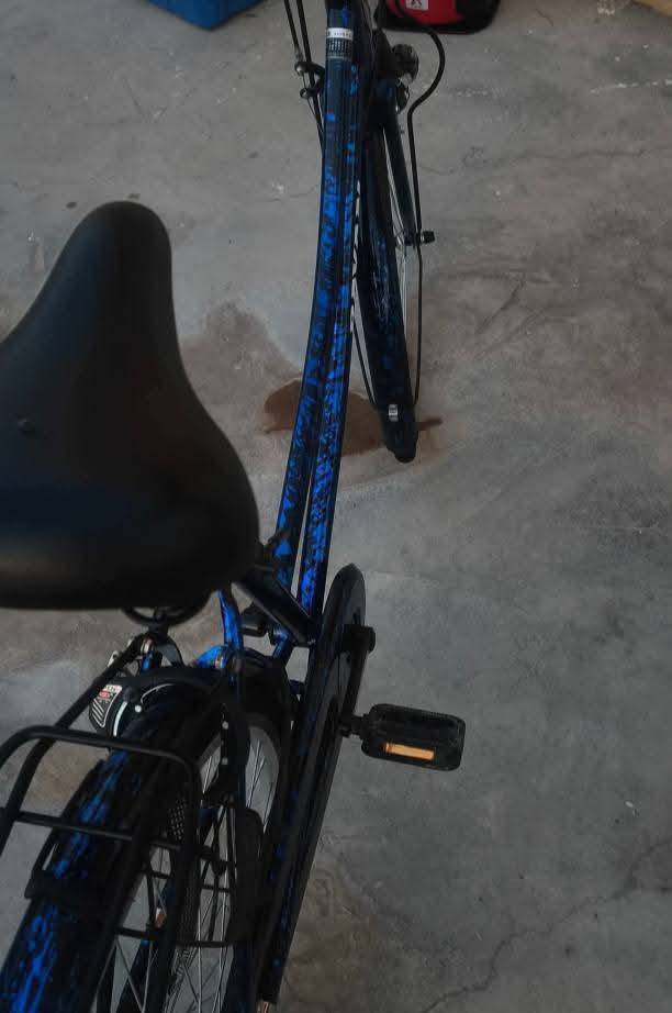 سلام عليكم 
باسكل للبيع كلشي ما ناقصة بعدة جديد شخط ما مشخوط  المكان الحسينية شارع عشرين  السعر 100 قفل


**إذا كنت صاحب هذا الإعلان وتريد حذفه لأي سبب، رجاءا أرسل رسالة إلى الدعم الفني**