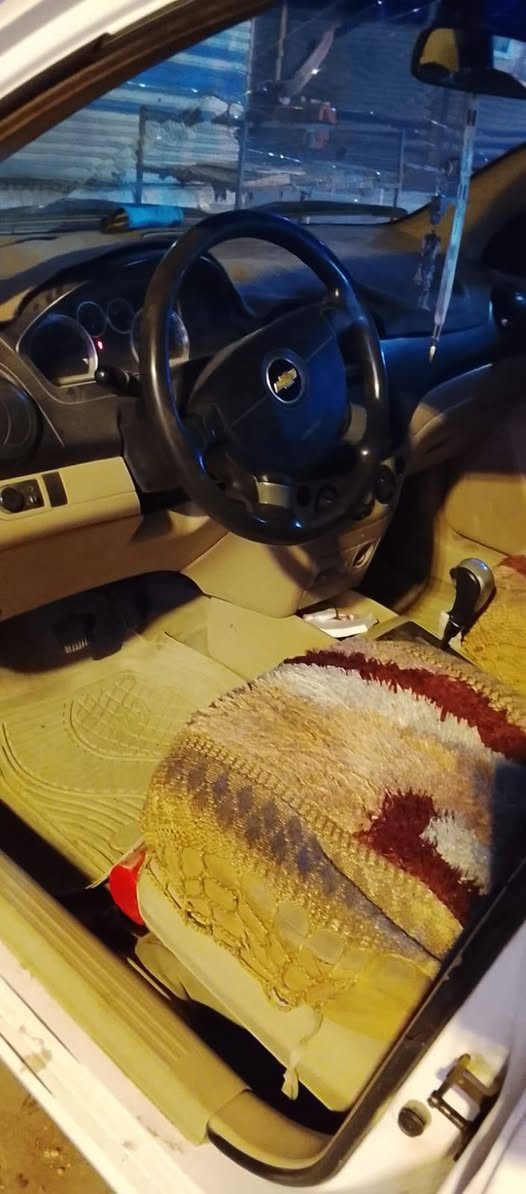 سلام عليكم افيو موديل 2011 رقم ميسان سياره كفاله سياره خير من الله تحويل ثاني يوم سعر70 بيه مجال حك اجيه لاتصال *********** مكاني العماره بغداد, العراق
