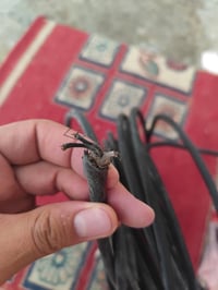 واير مسلح • ٤ خطوط • ٢×١٫٥