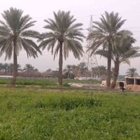 بغداد اليوسفية • ٤ دونم • طابو زراعي