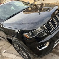 شيروكي • ٢٠١٩ • ضربه صدر