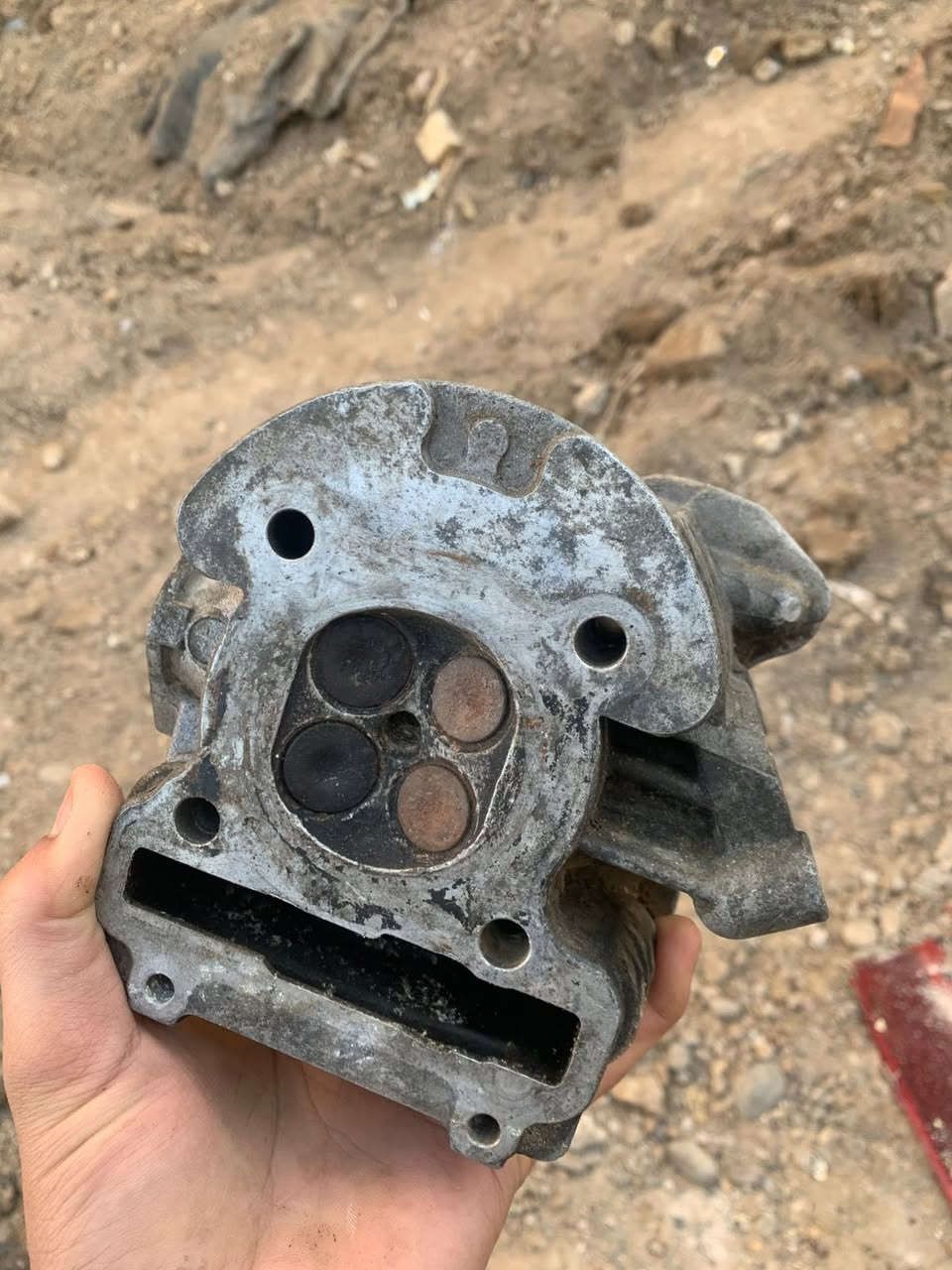 السلام عليكم شباب
كور سكنس بلادي مال تفصيخ (فارغ )
نضيف مابي اي سحك السيته والبراغي شرط النضافه


**إذا كنت صاحب هذا الإعلان وتريد حذفه لأي سبب، رجاءا أرسل رسالة إلى الدعم الفني**