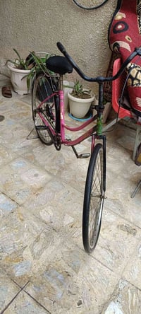 باسكل • حريه