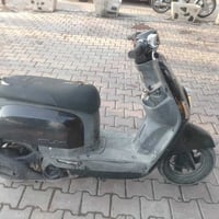 بوليس • بعقوبة • ديالى