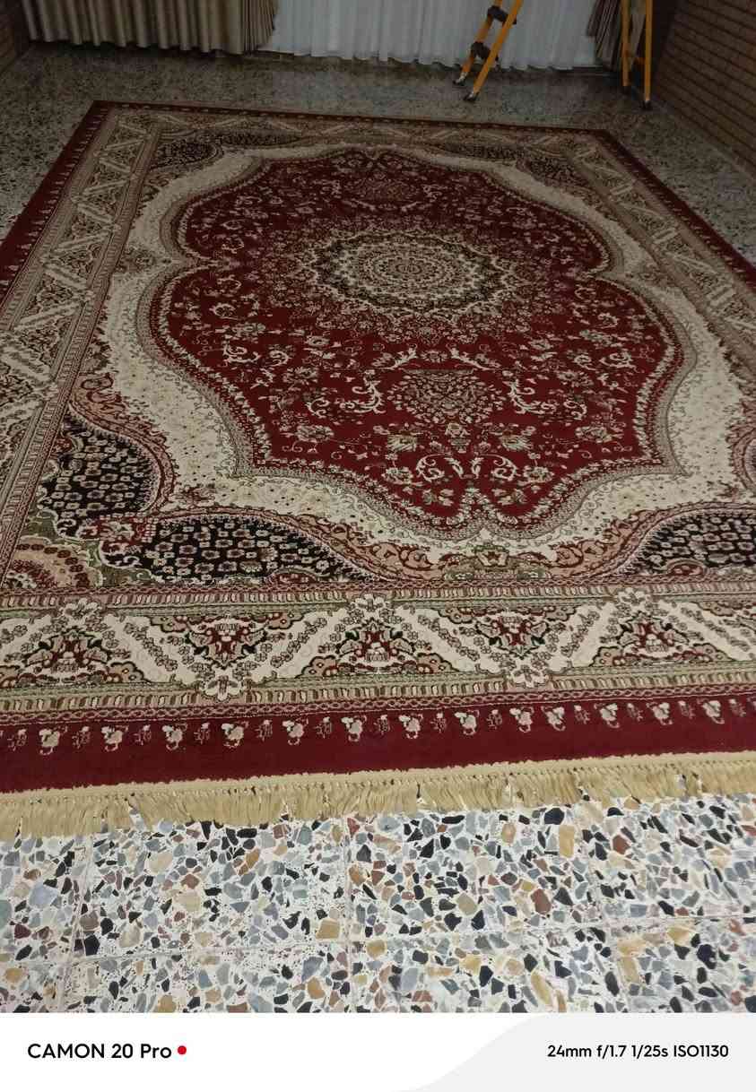 زوليه للبيع ٤×٣ شهداء البياع


**إذا كنت صاحب هذا الإعلان وتريد حذفه لأي سبب، رجاءا أرسل رسالة إلى الدعم الفني**