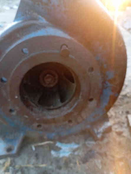 سلام عليكم ماطور عربي ستندر شرط شغل وخنازير عدد 2 جاهزات شرط شغل عنوان ذي قار دوايه  ستفسار على رقم ***********
