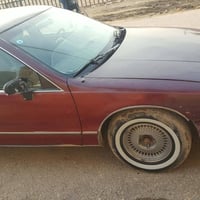 دولفين موديل  93 جاهزه  رقم دولي  بس تستلم  لوحات داخله  هزه جديده  تح...