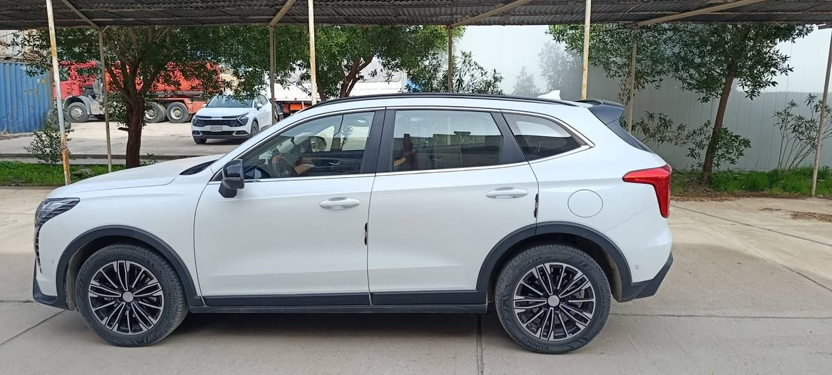 السلام عليكم .. 🌹
هافال جوليان2025 سياره مستلمها من الشركه 
( كفاله عامه ) 
فول مواصفات 
1_ اشاره ترحيب 
2_ كامرا 360 دورات
3_ اشاير مري 
4_حساسات امامي خلفي 
5_ سايد بريك كهربائي 
6_تحديد مسار 
7_ مانع تصادم 
8_ تدفئه + تبريد كشنات 
9_ كشنات جلد 
وبيها مواصفات كُلش هواي معروفه السياره بمواصفاتها 
ماشي 6000
السعر 27مليون وبيها مجال 
العنوان بغداد 

رقم الهاتف : ***********
