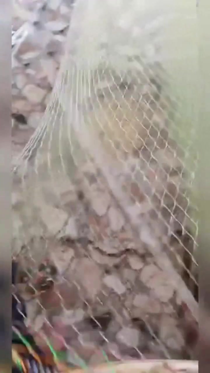 السلام عليكم 
سليه شد نوادير


**إذا كنت صاحب هذا الإعلان وتريد حذفه لأي سبب، رجاءا أرسل رسالة إلى الدعم الفني**