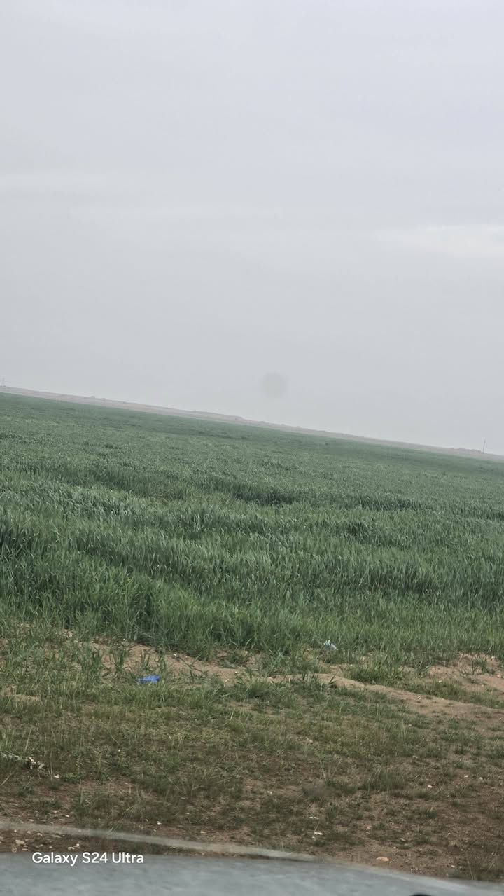 للبيع ارض زراعيه 120دونم عقد زراعي جديد 35يله ينتهي 
جزيره تكريت 
تحتوي على مرشه ذات اربع ابراج جديده
محوله +4ابار ماء +تحليه +رافع فولتيه عالي جوده
تحتوي على بيت 
سعر الكلي 170مليون 
***********
***********
