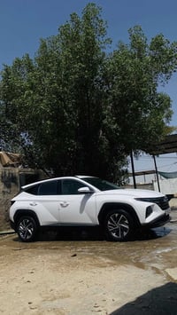 توسان • ٢٠٢٤ • الديوانيه