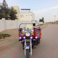 ستوته • مكفوله • ٢٠١٩