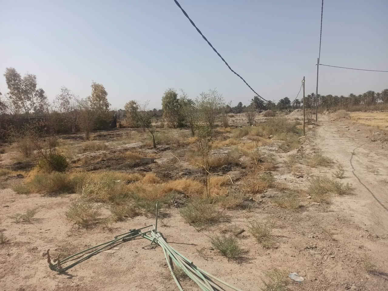 سلام عليكم دونم طابو زراعي للبيع موقعه مقابل حي القاسم مقابل جامع حجي نعمه خلف الحولي مال حي القاسم الدونم بي بيت مبني بلوك وصب أساس كونكريت البيت مامسگوف الشراي يريد دونم يريد نص دونم هم نبيع هاذا رقم صاحب العقار ‏‪0783 136 7790‬‏
