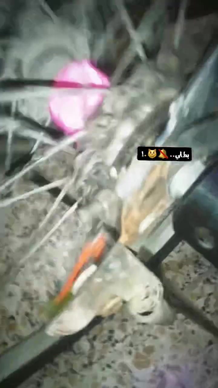 سلام عليكم بايسكل للبيع السعر 40وبي مجال


**إذا كنت صاحب هذا الإعلان وتريد حذفه لأي سبب، رجاءا أرسل رسالة إلى الدعم الفني**
