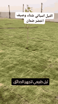 ارقام تواصل ***********
