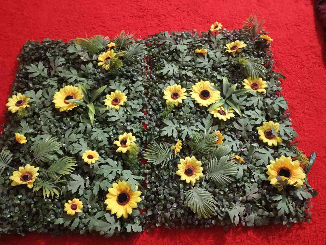 زرع صطناعي الاسعار مناسبه يوجدتوصيل


**إذا كنت صاحب هذا الإعلان وتريد حذفه لأي سبب، رجاءا أرسل رسالة إلى الدعم الفني**