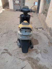 فراشه • حاويه • شغال