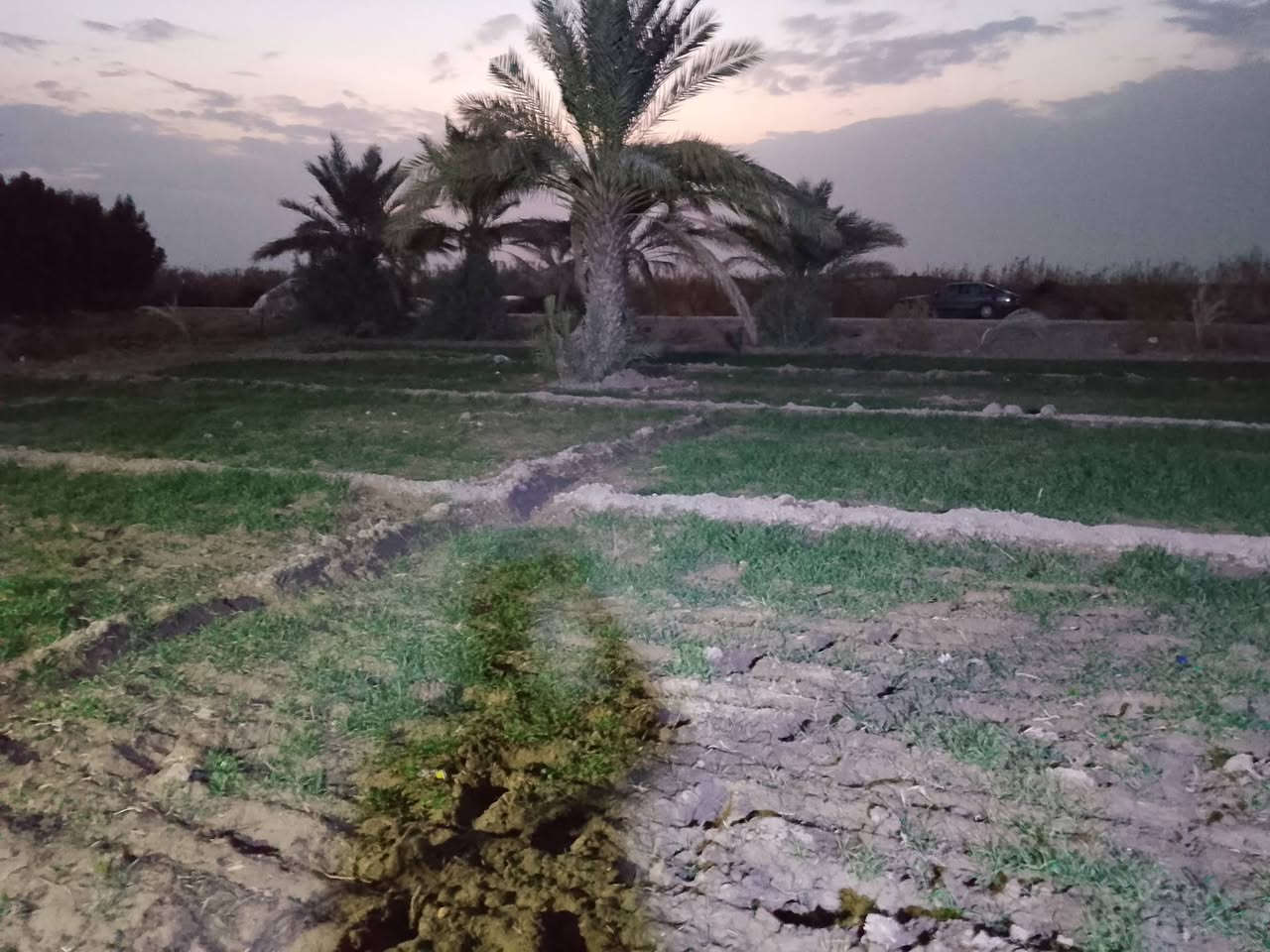 اللهم صل على محمد وال محمد وعجل فرجهم ياكريم
دونم ركن للبيع مع دار صغير على التبليط مباشر 
سند 25 تحويل مباشر 
خدمات ماء اساله وكهرباء وتبليط 
العنوان اراضي الناصريه منطقة شمر اليوسف 
***********
اتصل عليه وانطيك السعر ماعندك رصيد رمش بخط اسيا
