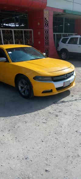 تشارجر 16 معلايه 18 سياره حادثها جاملغ وبنيد جاهزه مكينه جديده قبل شهرين شادها  كير خير من الله  حداديه جديده السعر 157$  وبيها مجال سياره حلوه
الشراي يتصل على الرقم ***********
اخوان مكلف بالنشر الشراي يتصل
