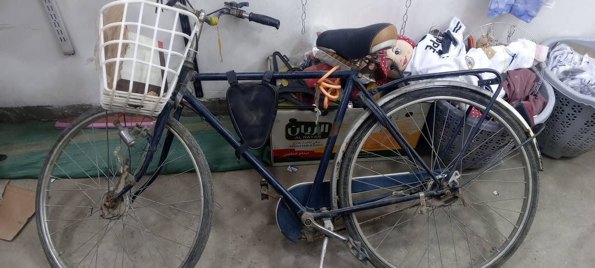 السلام عليكم من رخصة الادمن بايسكل إنكليزي للبيع ويلات ستيل بطيخة ام الصجم بس يرادلة تصليح البريكات وجاملث امامي الي رائدة يجي خاص قيمة وتعال


**إذا كنت صاحب هذا الإعلان وتريد حذفه لأي سبب، رجاءا أرسل رسالة إلى الدعم الفني**