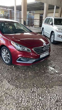 سوناتا فول • ٢٠١٦ • بنية صبغ