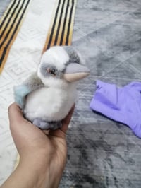 للبيع • أغراض شخصية • معلومات ناقصة