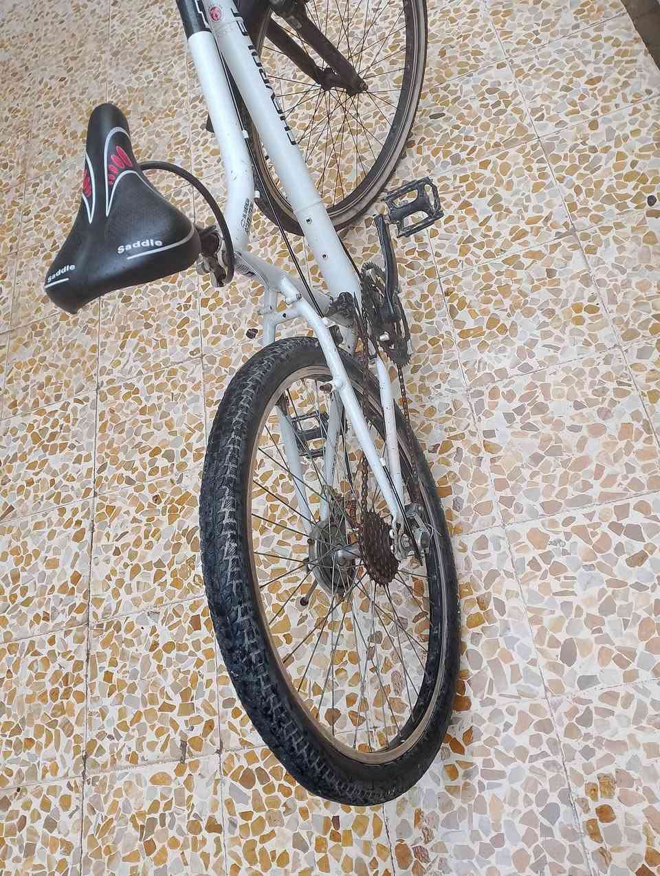 السلام عليكم اصحاب الذوق الرفيع دراجة هوائية (بايسكل) 
نوع شوفرليت امريكي ثقيل 
كيرين لشة لا كسر ولا لحيم بايسكل جديد
سعرو 85 
للتواصل: *********** للمكالمات
او *********** واتساب
