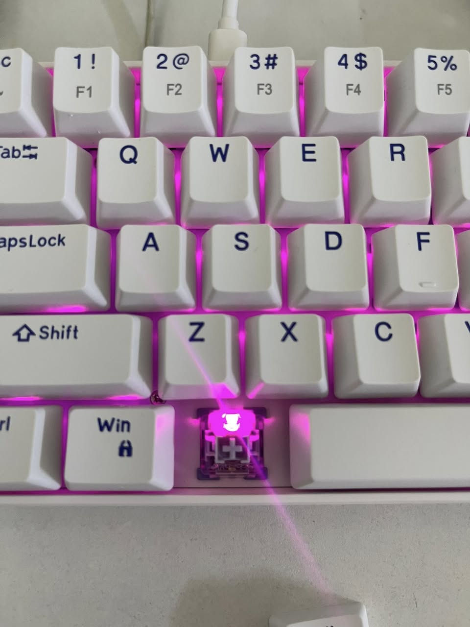 كيبورد ميكانيكي ١٥ الف


**إذا كنت صاحب هذا الإعلان وتريد حذفه لأي سبب، رجاءا أرسل رسالة إلى الدعم الفني**