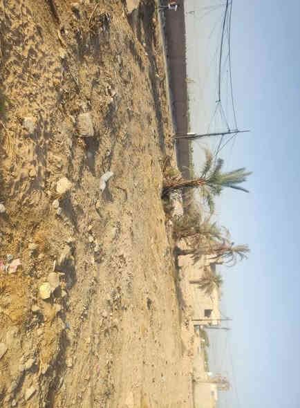 قطع اراضي للبيع سند 25السعر ال100م بي 7.500مليون وبيها مجال العنوان كوفه شارع المعمل مقابل البيطره تبعد عن الشارع العام 50م للاستفسار ***********يوجد واتساب او على الخاص
