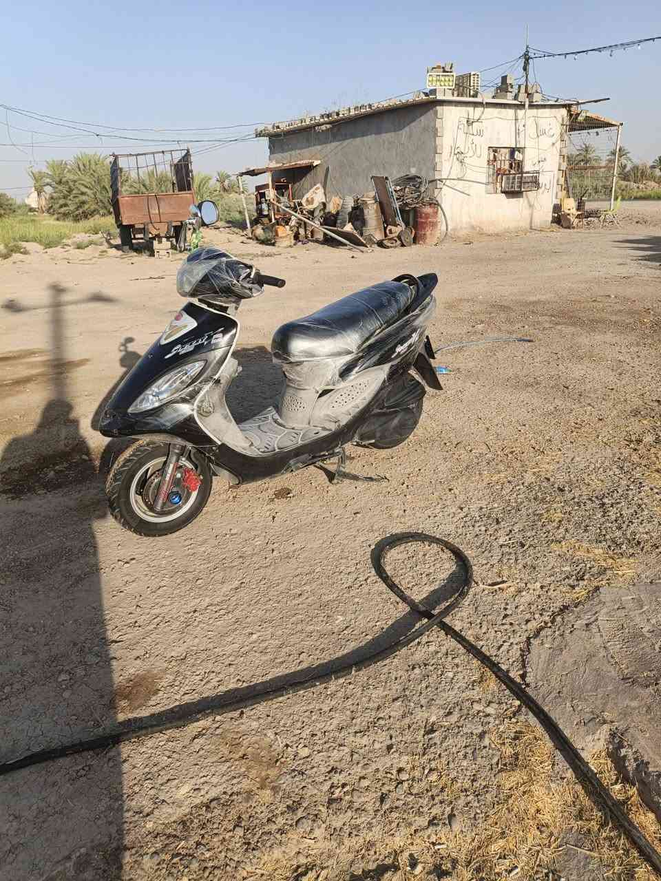 السلام عليكم كامكو للبيع فحل نازل مكفوله كفله عمه شعري 750 قفل ***********

