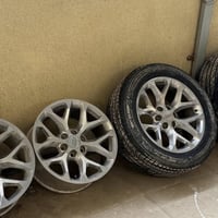 ويل عنكبوت • مقاس ٢٠ • بصره