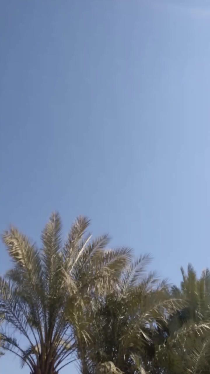 سونيك للبيع فقط بيع عطل بس الشاشه دراجه صلوات على محمد كلها شغال كهربائيات والسعر 850 ولي الشراي بيها مجال ***********
