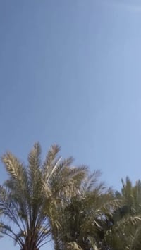 سونيك للبيع فقط بيع عطل بس الشاشه دراجه صلوات على محمد كلها شغال كهربا...