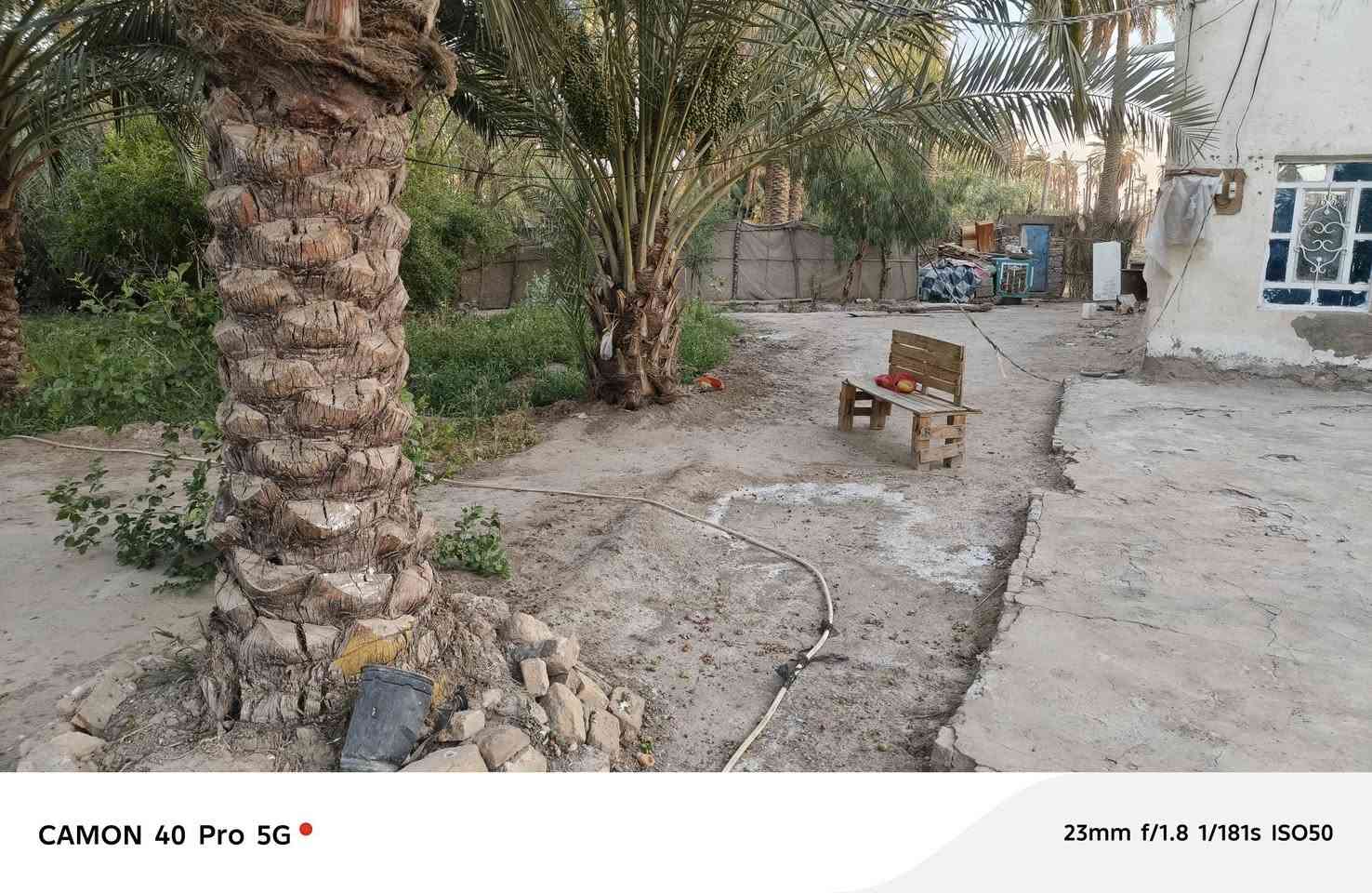 بستان للبيع
٣دونم  
 بيت ٣٠٠ متر كامل
٣غرفه 
مطبخ 
ستقبال ١١متر معزول 

 حديقة 
يبعد عن الولايه ٣كيلو 
الموقع المعبره 
***********
